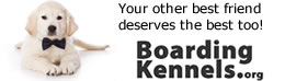 BoardingKennels.org