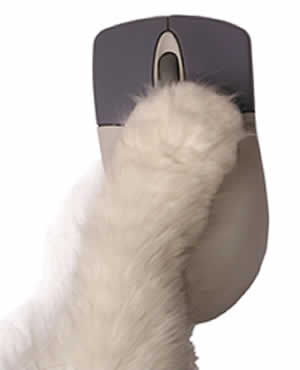 paw on computer mouse