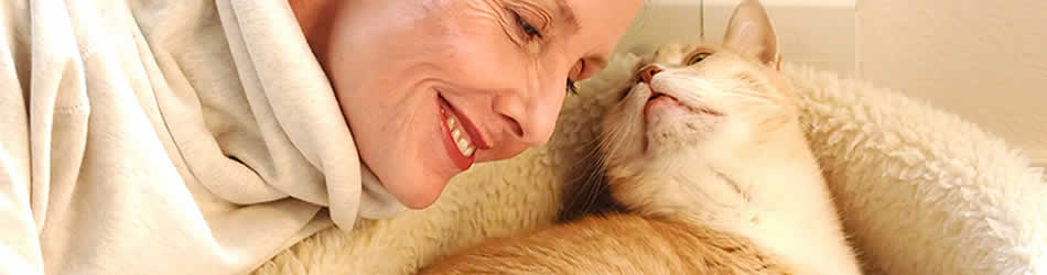 Advice on choosing the best boarding cattery for your cat