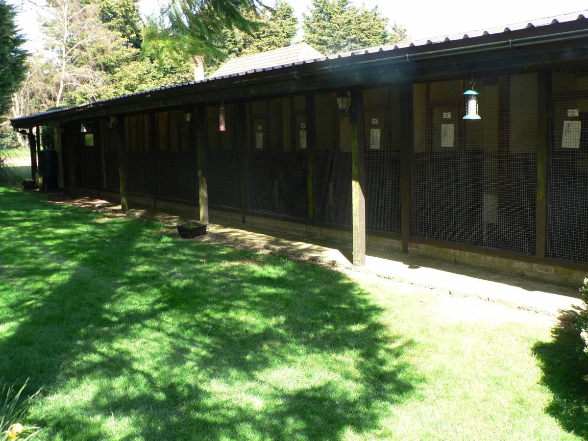 cattery front