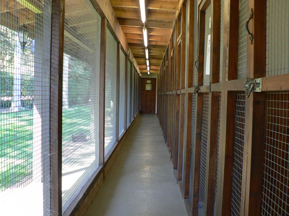 corridor