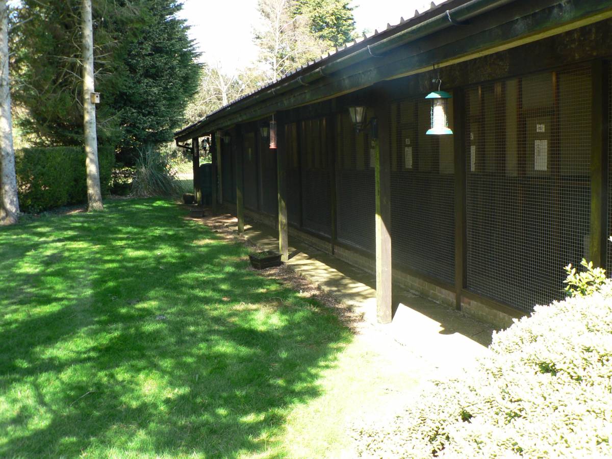 cattery