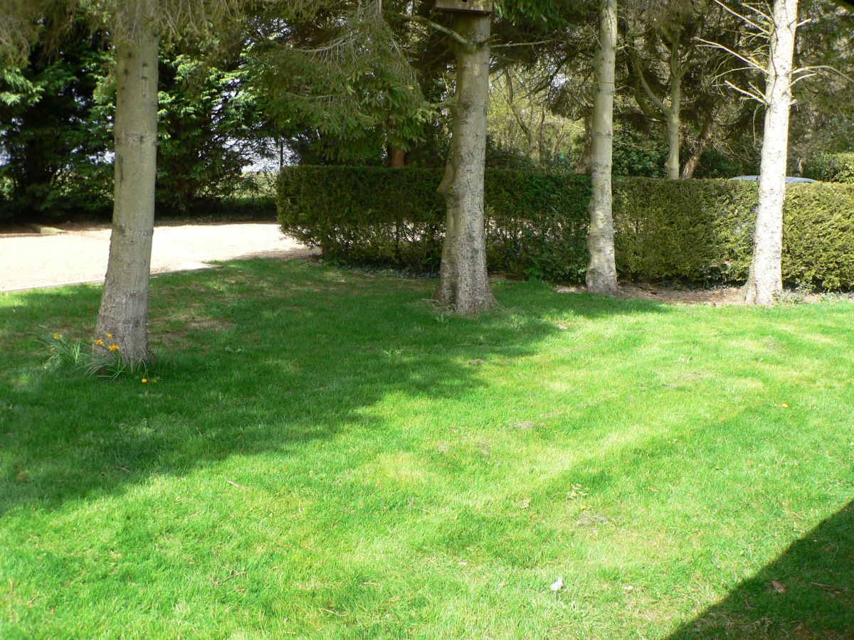 cattery overlooking the front garden