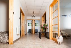 Cattery Corridor