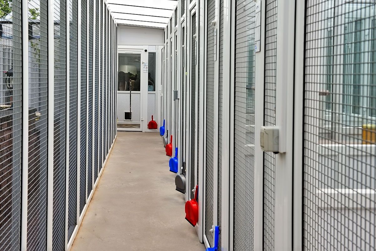 Safety corridor complete with multi cctv cameras