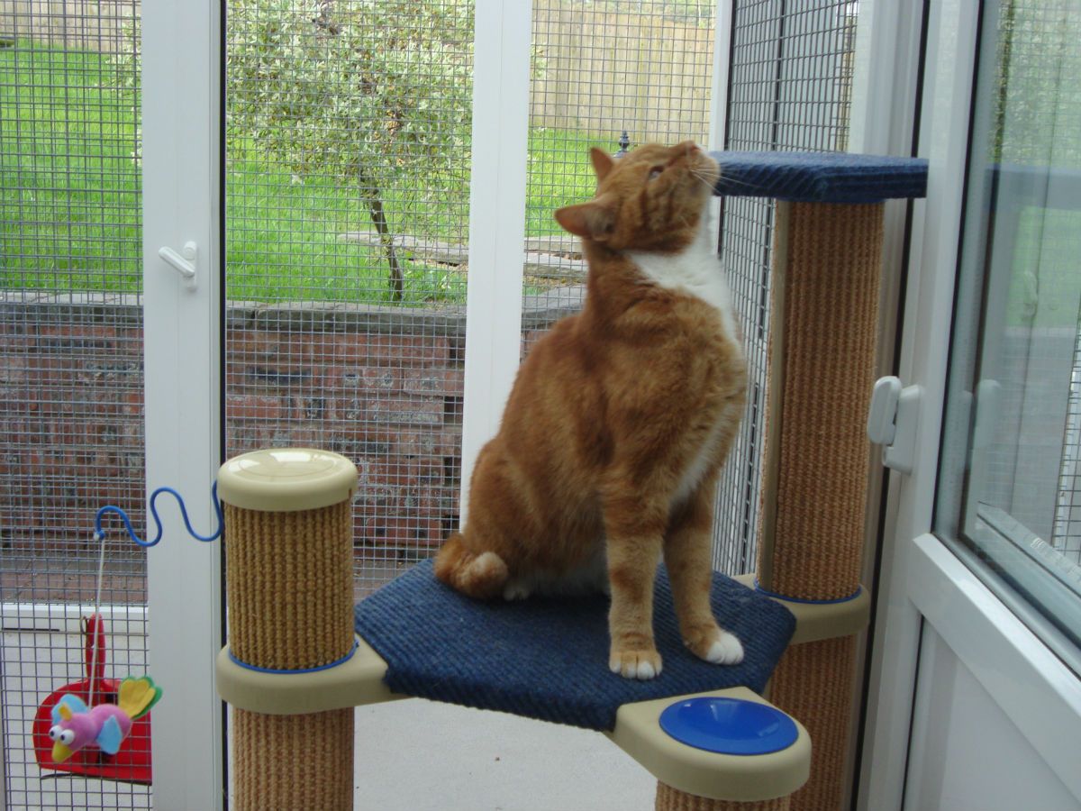 A choice of views where wildlife is encourage to settle